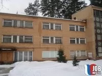 Снегири Снегири